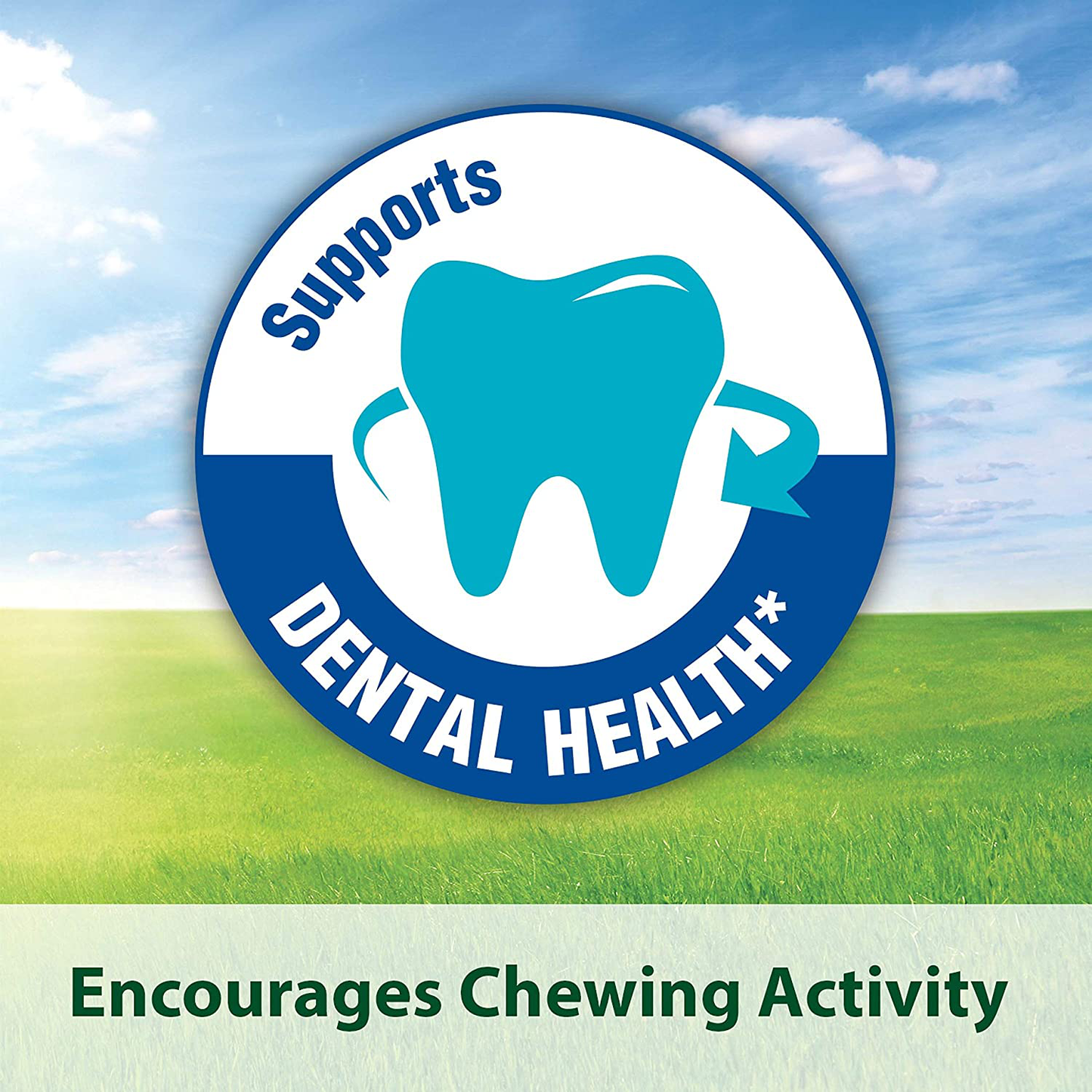 Kaytee Timothy Biscuits Baked Treat Animals & Pet Supplies > Pet Supplies > Small Animal Supplies > Small Animal Bedding Kaytee