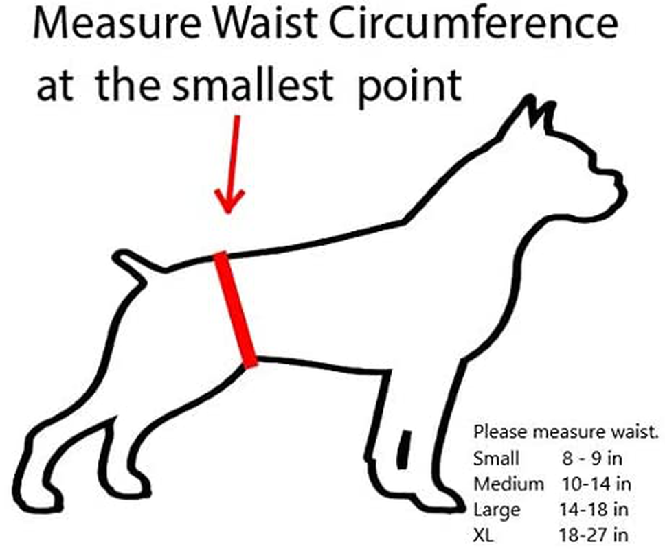 Dr. Judy Morgan'S Naturally Healthy Pets Washable Reusable Dog Diapers Animals & Pet Supplies > Pet Supplies > Dog Supplies > Dog Diaper Pads & Liners Dr. Judy Morgan's Naturally Healthy Pets