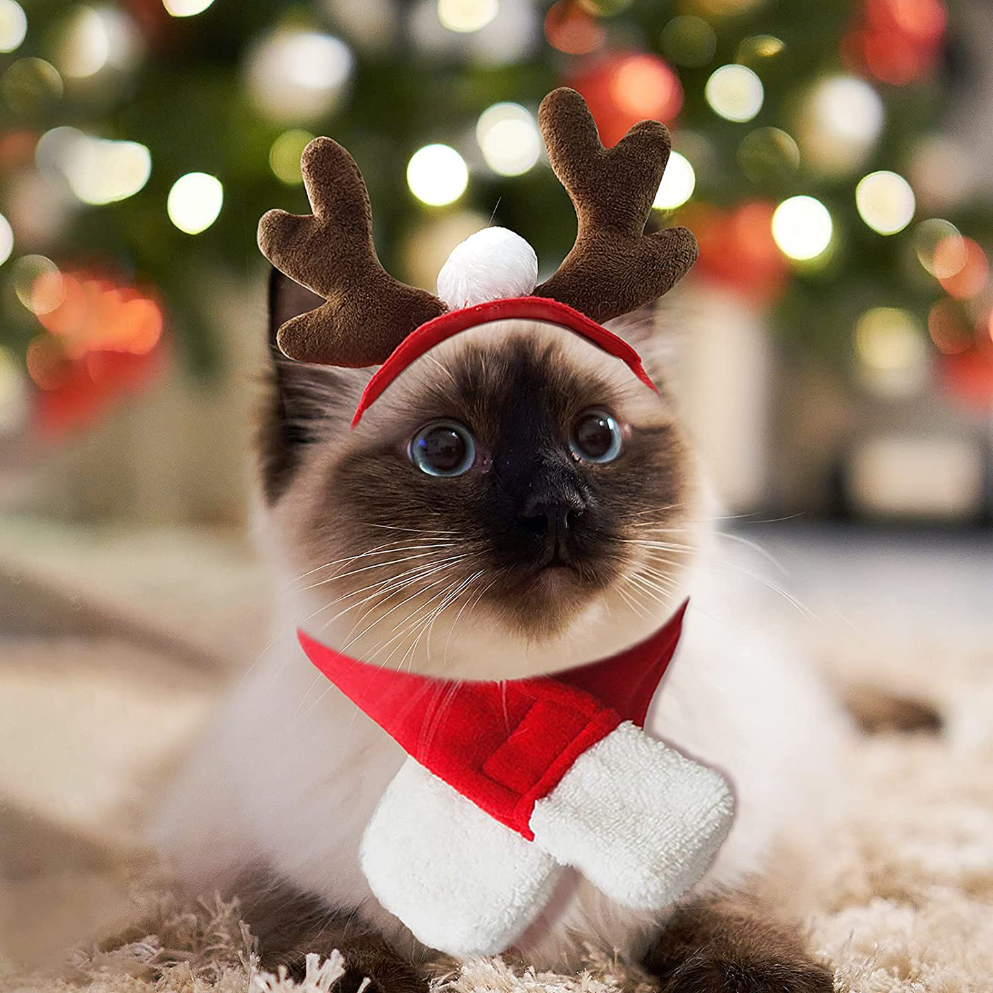 PETLESO Cat Santa Hat with Scarf -Christmas Costume Set Puppy Dog Cat Santa Hat Animals & Pet Supplies > Pet Supplies > Cat Supplies > Cat Apparel PETLESO Christmas antlers