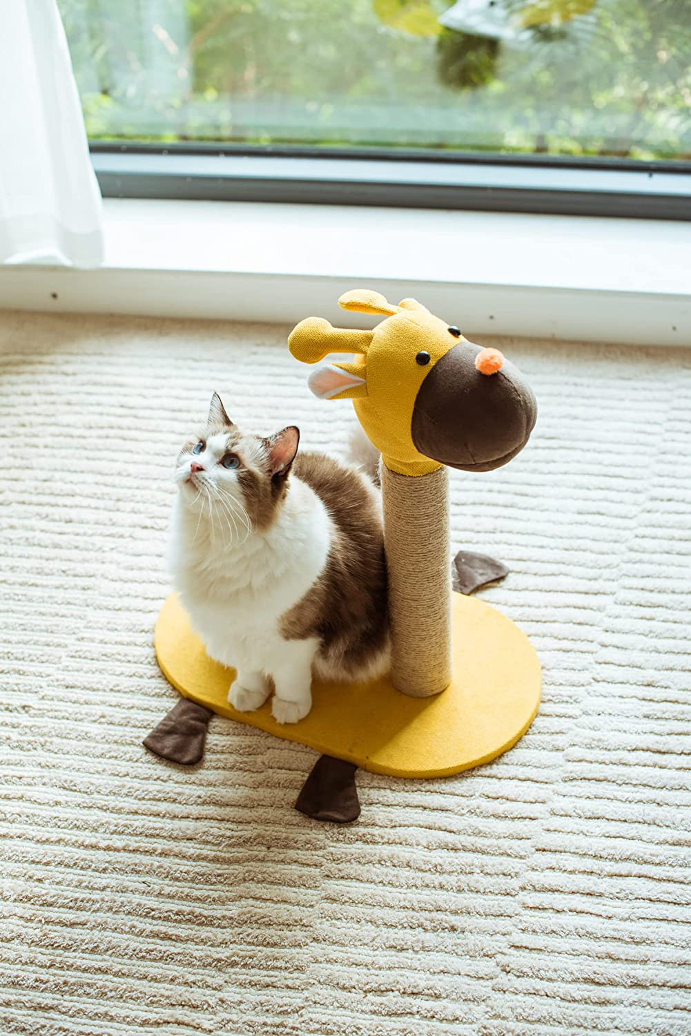 Catry Cat Scratching Post Animals & Pet Supplies > Pet Supplies > Cat Supplies > Cat Furniture Catry