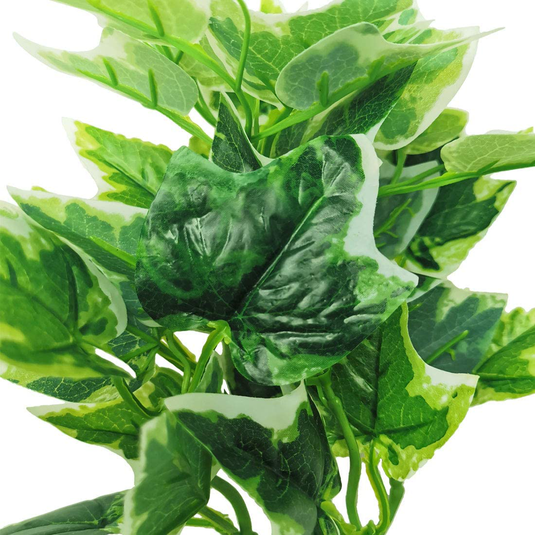 Kathson Reptile Terrarium Plants Hanging Artificial Lizards Habitat Climbing Decorations with Suction Cups Pets Tank Fake Green Plastic Ornament for Amphibians Bearded Dragons 6PCS Animals & Pet Supplies > Pet Supplies > Reptile & Amphibian Supplies > Reptile & Amphibian Habitats kathson