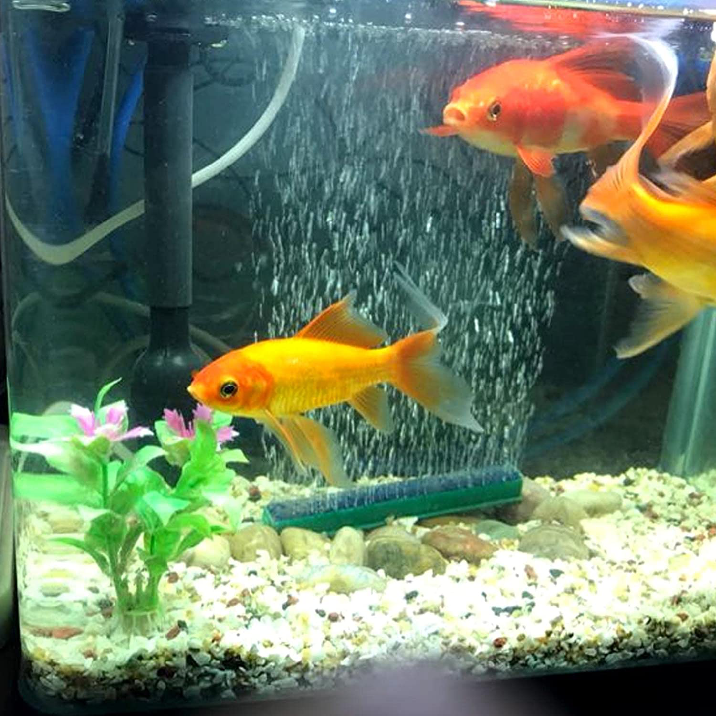 LIVTE 30 Pcs 4 Inch Air Stone Bar Bubble Release Oxygen Diffuser Bar Bubble Release Mineral Air Stones for Aquarium Fish Tank Animals & Pet Supplies > Pet Supplies > Fish Supplies > Aquarium Air Stones & Diffusers LIVTE