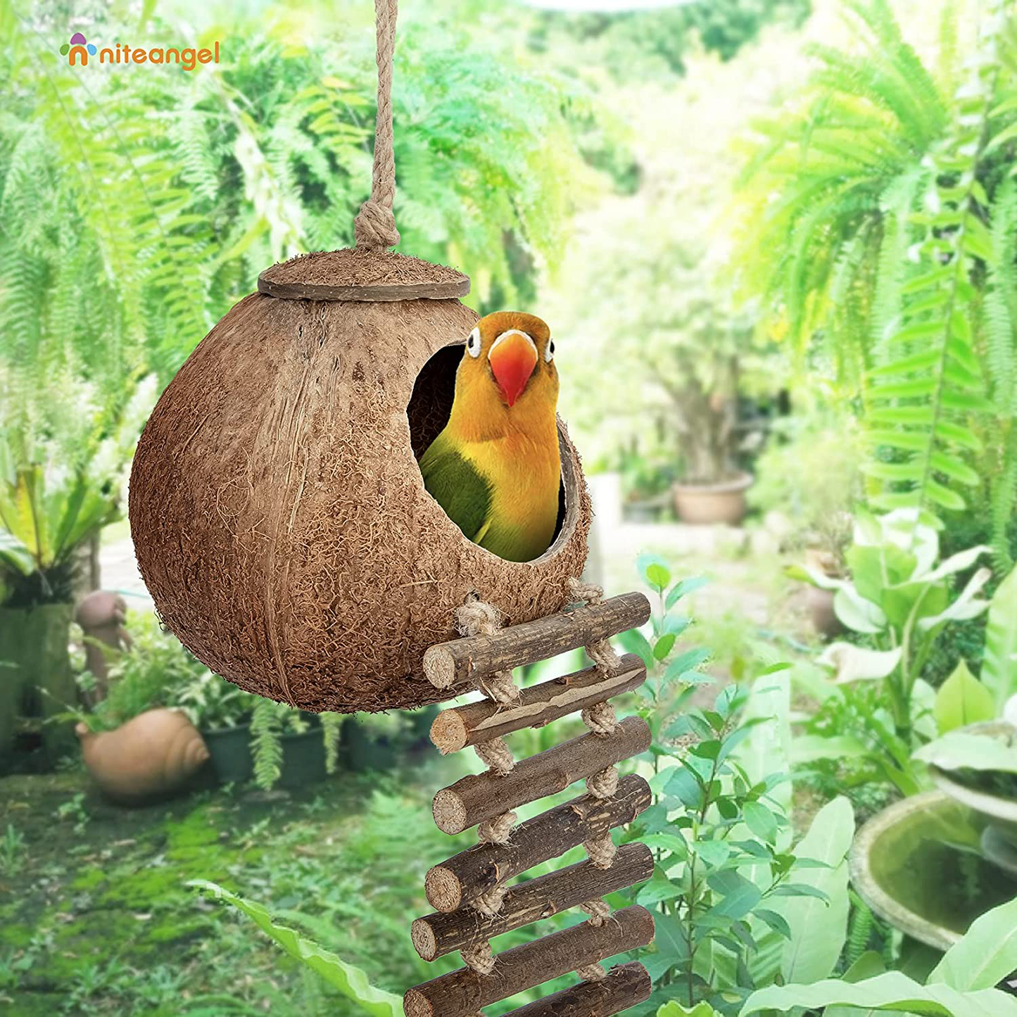 Niteangel 100% Natural Coconut Hideaway with Ladder, Bird and Small Animal Toy Animals & Pet Supplies > Pet Supplies > Bird Supplies > Bird Cage Accessories Niteangel