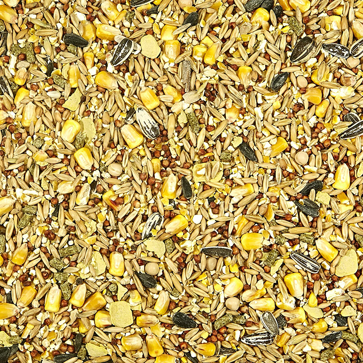 Kaytee Backyard Wildlife Food for Wild Rabbits, Squirrels, and Chipmunks, 5 Lb Animals & Pet Supplies > Pet Supplies > Small Animal Supplies > Small Animal Food Kaytee