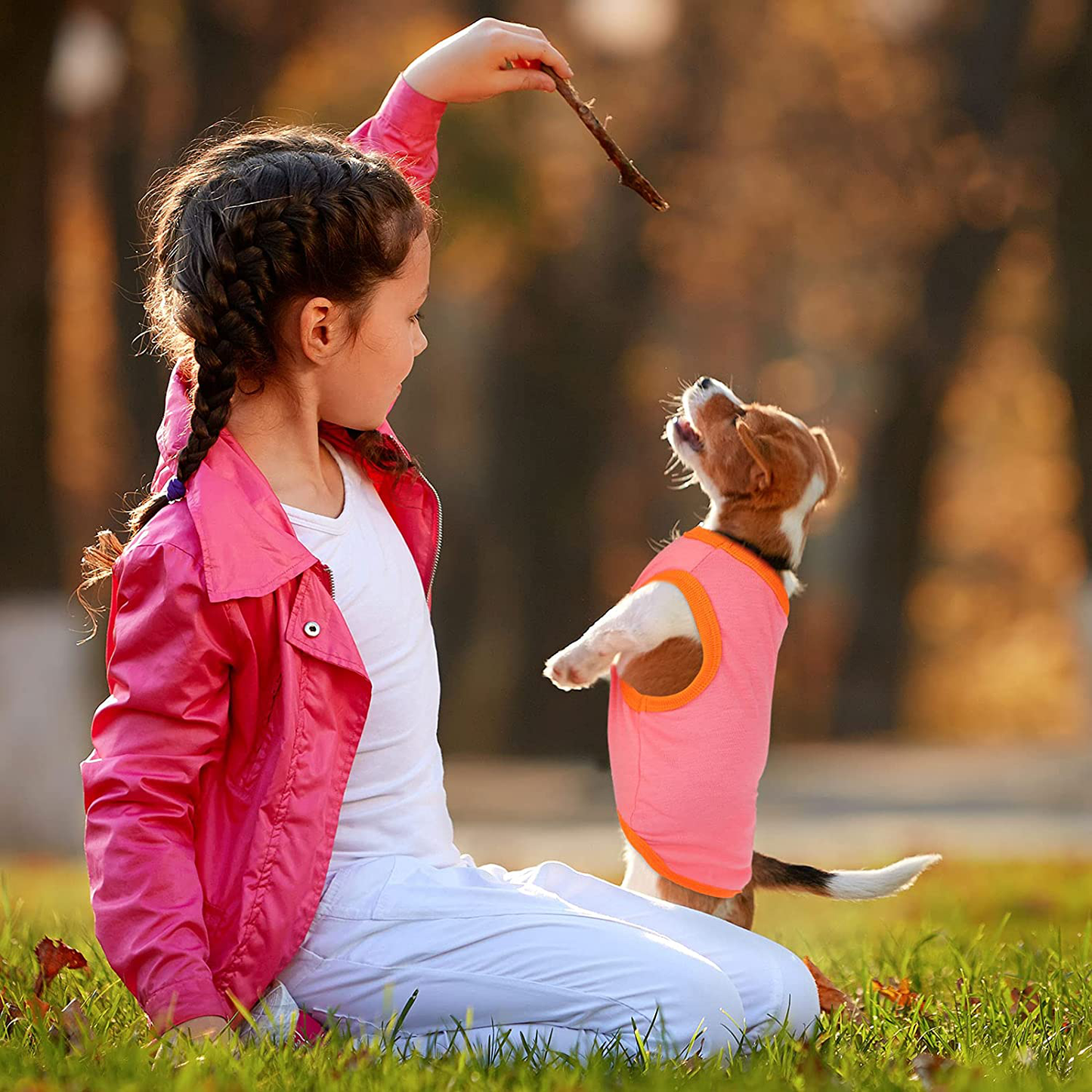 URATOT 12 Pieces Dog Shirts Pure Color Pet T Shirt Dog Outfit Soft and Breathable Pet Puppy Blank Clothes for Cats and Dogs, Size Medium Animals & Pet Supplies > Pet Supplies > Dog Supplies > Dog Apparel URATOT