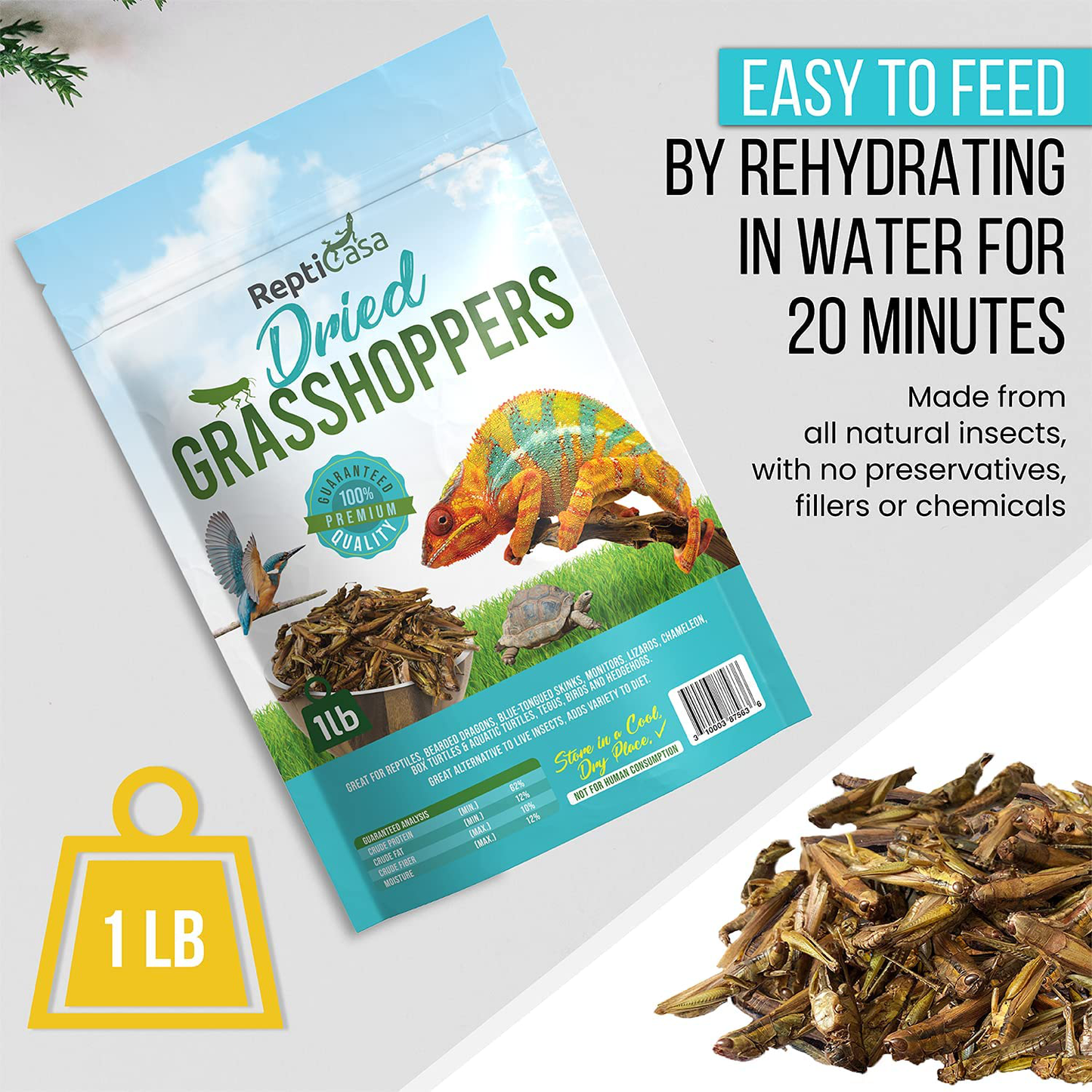 Repticasa Dried Grasshoppers Turtle Food – 1Lb Reptile Food Ideal for Bearded Dragons, Hedgehogs, Lizards, Chameleons, Birds – Rich in Protein – Natural and Healthy Treats for Exotic Pets Animals & Pet Supplies > Pet Supplies > Reptile & Amphibian Supplies > Reptile & Amphibian Food ReptiCasa