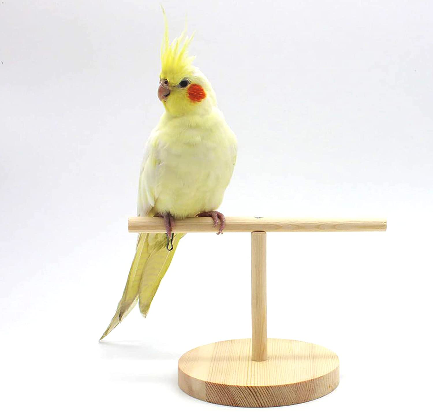 QBLEEV Bird Perch Parrot Wooden Stand,Bird Tabletop Standing Perches Play Stand Rack,Parrot Training Stick Travel Portable Pet Bird Carrier Stand for Parakeets Cockatiel Conure Budgie Lovebirds Finch Animals & Pet Supplies > Pet Supplies > Bird Supplies > Bird Gyms & Playstands QBLEEV