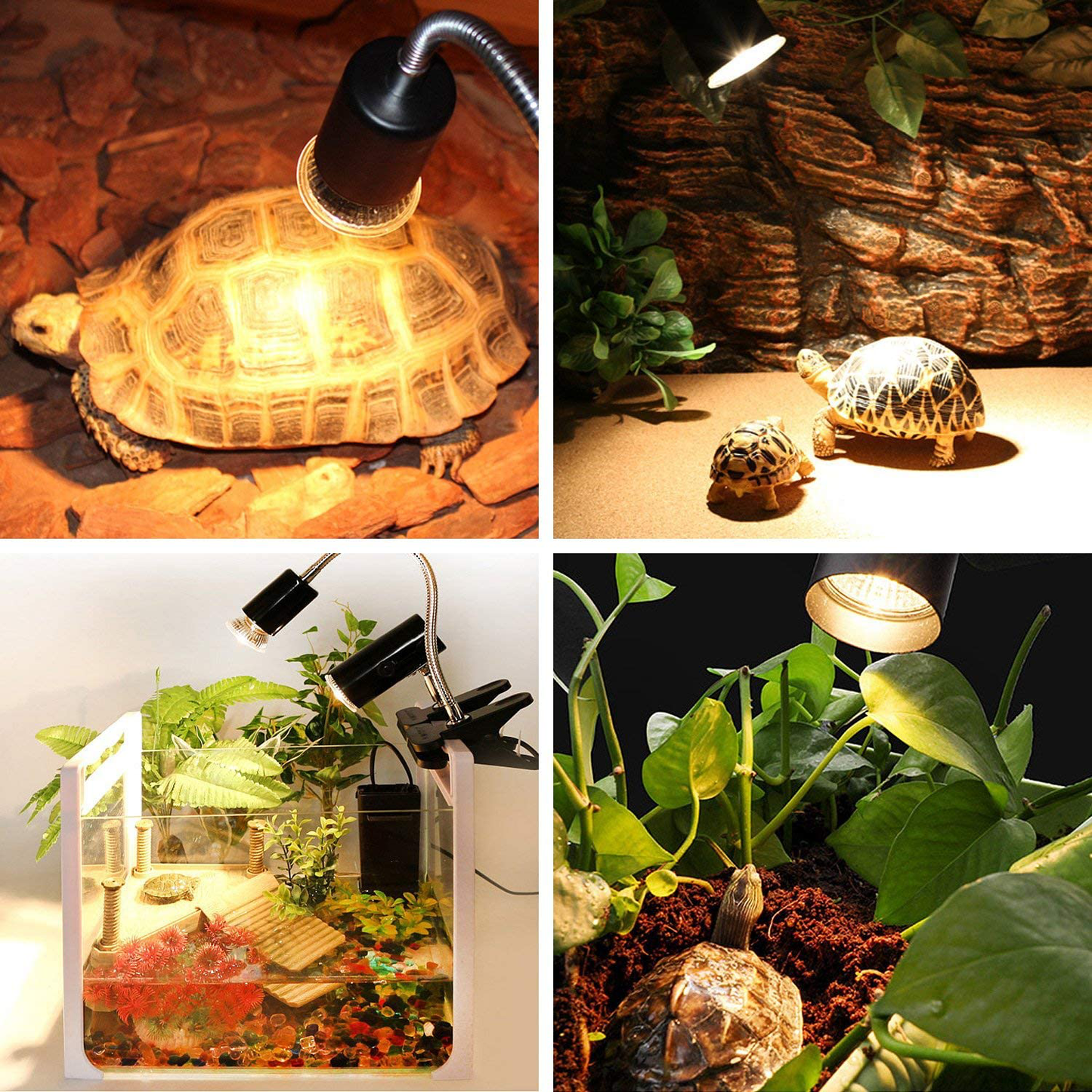 OMAYKEY 2 Pack Reptile Lamp Fixture Holder Clamp with 3-Pcs 50W UVA + UVB Full Spectrum Sun Lamp Sunbathe Heat Bulb, Upgraded Lengthened & Adjustable Stand, for Pet Habitat Heat Light Bulbs Animals & Pet Supplies > Pet Supplies > Reptile & Amphibian Supplies > Reptile & Amphibian Habitat Heating & Lighting OMAYKEY