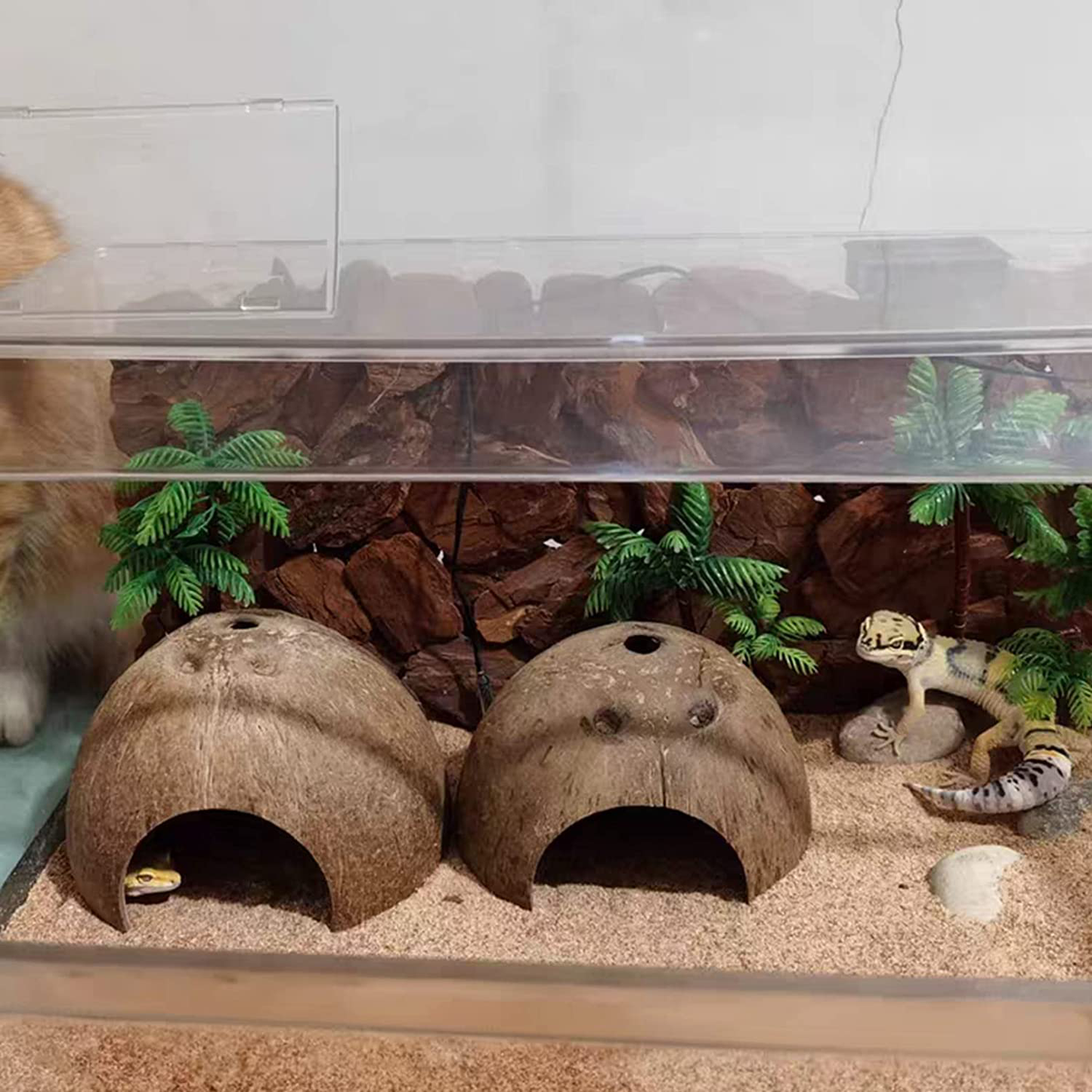 Hamiledyi Reptile Hideouts Natural Coconut Shells Hut Small Animal Hide Cave Hermit Crab Climbing Toys Lizard Habitat Decor Plant Leaves Decoration for Gecko Spider Snake Chameleon (4Pcs) Animals & Pet Supplies > Pet Supplies > Small Animal Supplies > Small Animal Habitat Accessories Hamiledyi