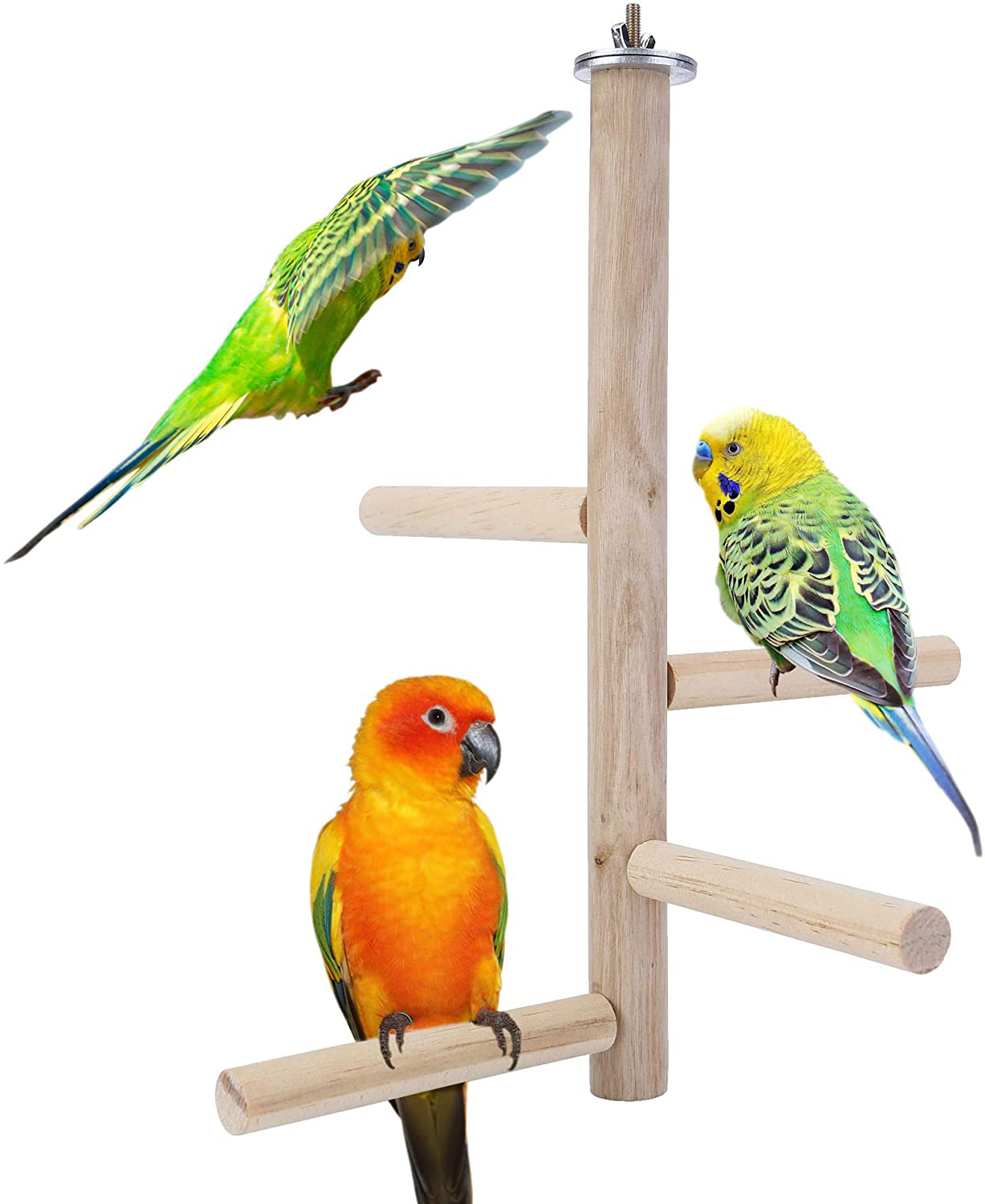 NKTIER 5Pcs Natural Wood Bird Perch Stand,Hanging Multi Branch Perch,  Budgie Platform Bird Parakeet Toys For Parakeets Finches 