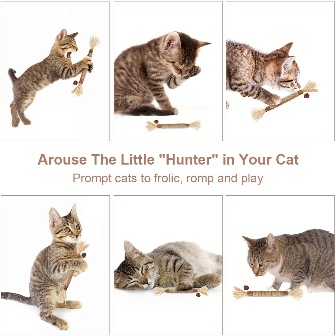 Potaroma 3 Pack Natural Silvervine Sticks Cat Toys, Catmint Silvervine Blend Sticks, Catnip Cat Chew Toys for Kittens Teeth Cleaning, Matatabi Dental Care Cat Treat, Edible Kitty Toys for Cats Lick Animals & Pet Supplies > Pet Supplies > Cat Supplies > Cat Toys Potaroma