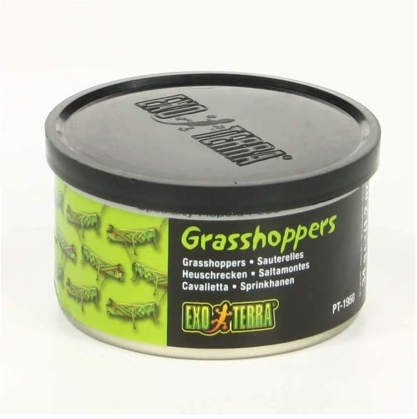 Exo Terra Specialty Reptile Food, Canned Grasshoppers for Reptiles Animals & Pet Supplies > Pet Supplies > Reptile & Amphibian Supplies > Reptile & Amphibian Food Exo Terra