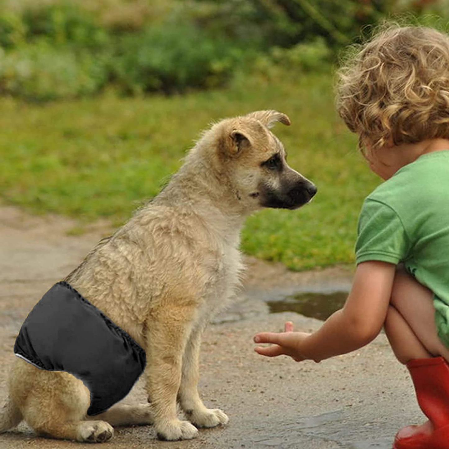 K ERATISNIK Pack of 3 Dog Sanitary Pants Super Absorbent Washable Dog Incontinence Diapers Male Dog Soft Belly Band Wraps Nappies Pants Pet Diapers for Small Medium Dogs Puppy Dog Boy Diaper Animals & Pet Supplies > Pet Supplies > Dog Supplies > Dog Diaper Pads & Liners K ERATISNIK