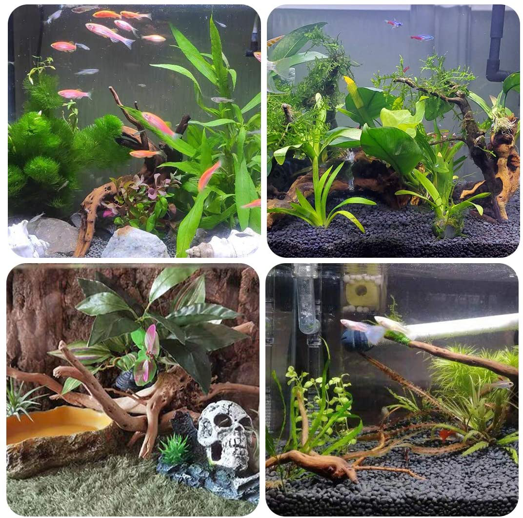 SERJOOC 6Pcs Aquarium Driftwood Spider Wood Ornament for Fish Tank Natural Branches Decorations (4In-6In) Animals & Pet Supplies > Pet Supplies > Fish Supplies > Aquarium Decor SERJOOC