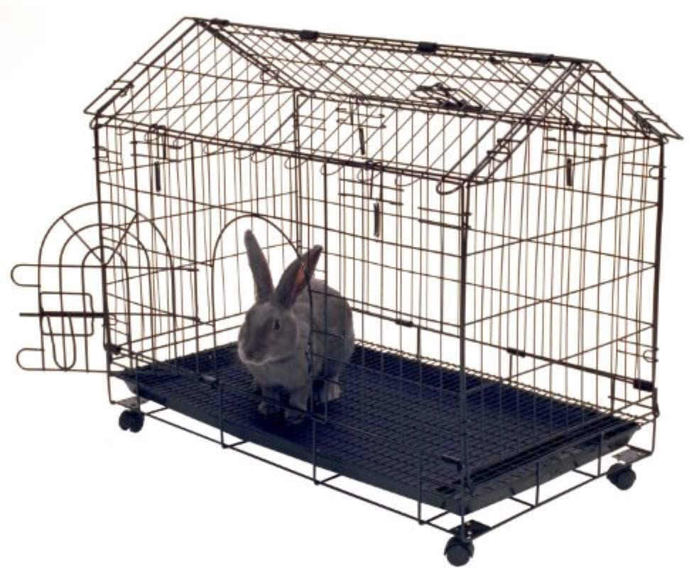 Kennel aire dog sales crate