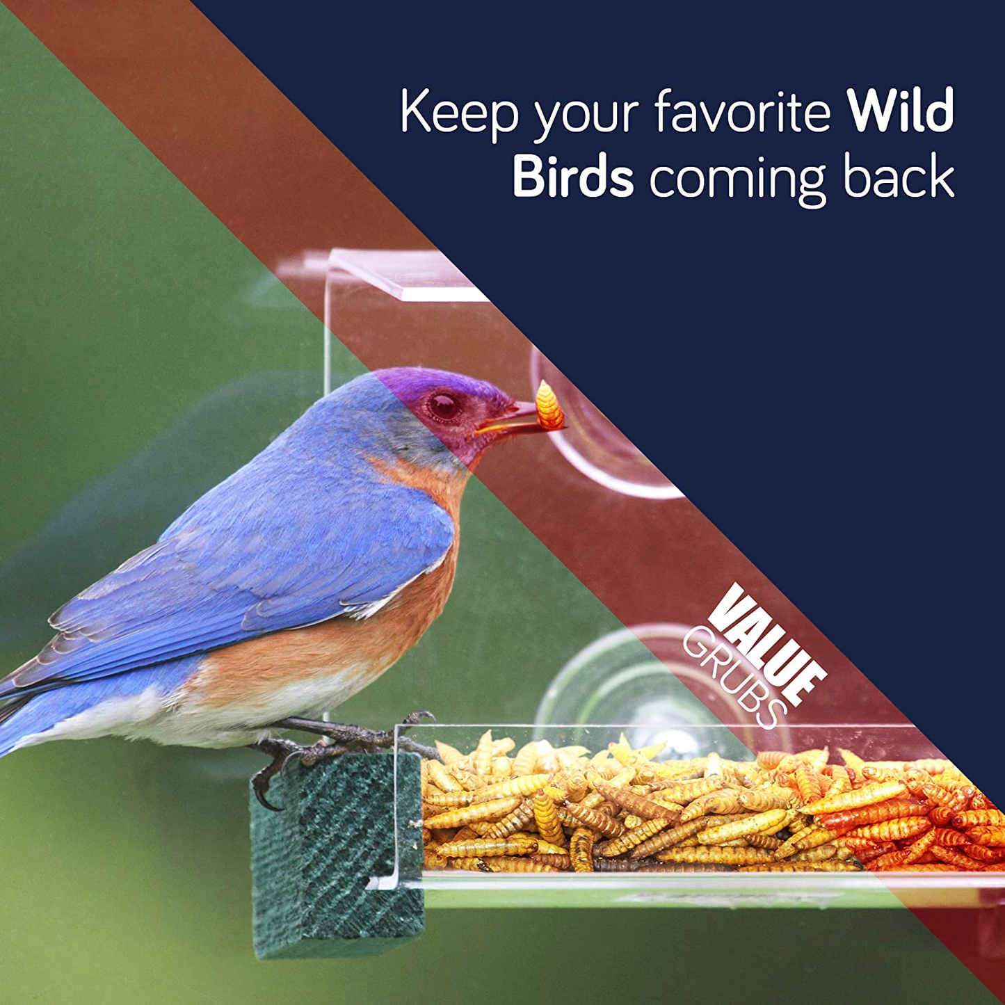 Value Grubs 4 Lbs - Better than Dried Mealworms for Chickens - Non-Gmo & 75X More Calcium than Meal Worms - Chicken Feed & Molting Supplement - BSF Larvae Treats for Hens, Ducks, Wild Birds Animals & Pet Supplies > Pet Supplies > Bird Supplies > Bird Treats Value Grubs