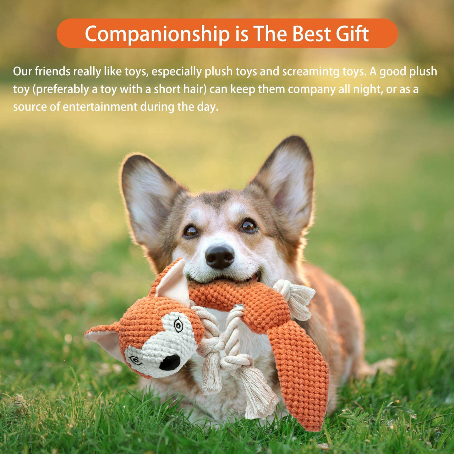 Dog Plush Toys , Petners Dog Squeaky Toy Stuffed Dog Toys for Medium Dogs Puppy Teething Chew Toys with Crinkle Paper/Rope Knots/Squeaker Animals & Pet Supplies > Pet Supplies > Dog Supplies > Dog Toys Petners