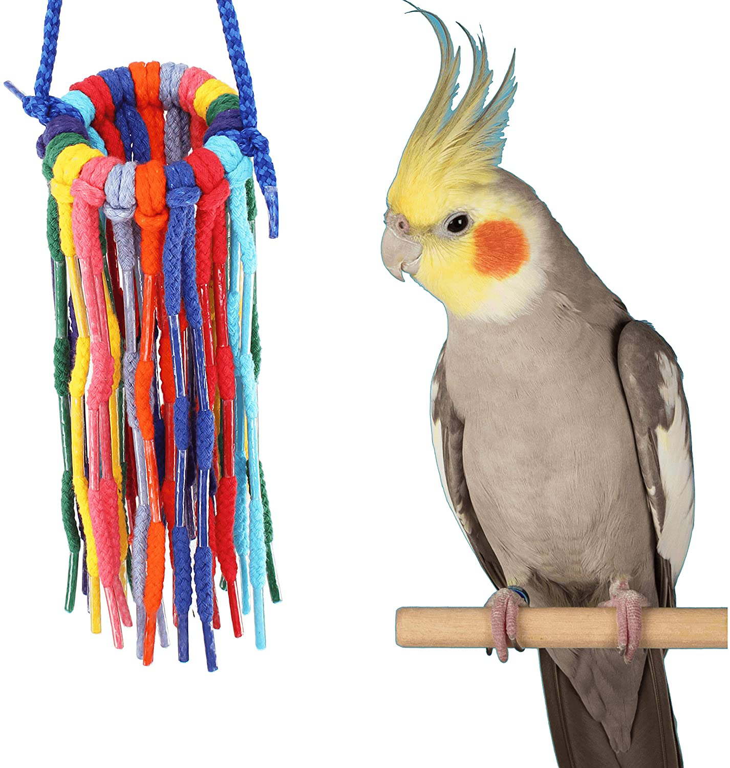 Bonka Bird Toys Aglet Cotton Colorful Chew Pull Parrot Parrotlet Quaker Budgie Finch Macaw Cockatoo Animals & Pet Supplies > Pet Supplies > Bird Supplies > Bird Toys Bonka Bird Toys