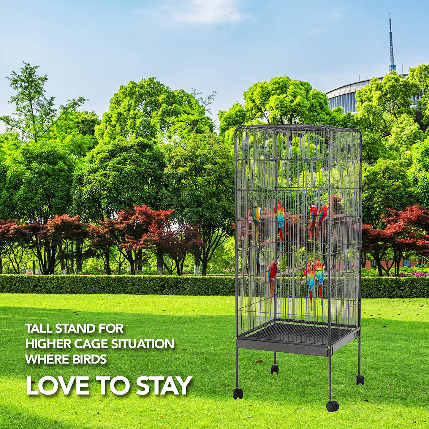 Talis 58” Large Bird Cage with Rolling Stand – Wrought Iron Birdcage for Cockatiels, Parrots, Parakeets, Conures – with 360° Swiveling Coasters, Easy to Clean, Super Strong, Sturdy and Durable Animals & Pet Supplies > Pet Supplies > Bird Supplies > Bird Cages & Stands Talis