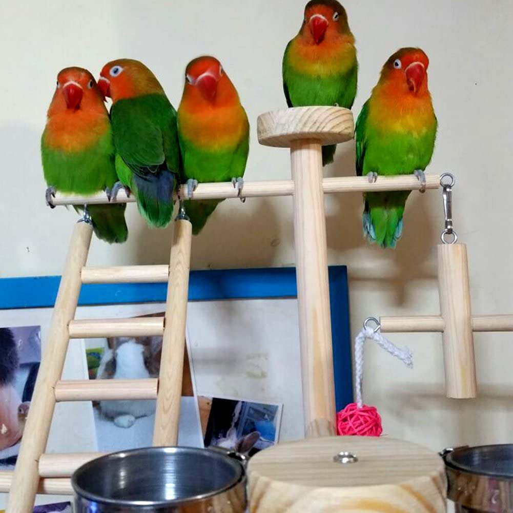 QBLEEV Parrot Playstand Perch Bird Play Stand Small Birds Play Gym Cockatiel Playground Platform Hanging Bell Swing Ladders Toys with Birdcage Food Dish Feeder Cup for Small Animals Hamsters Finch Animals & Pet Supplies > Pet Supplies > Bird Supplies > Bird Gyms & Playstands QBLEEV