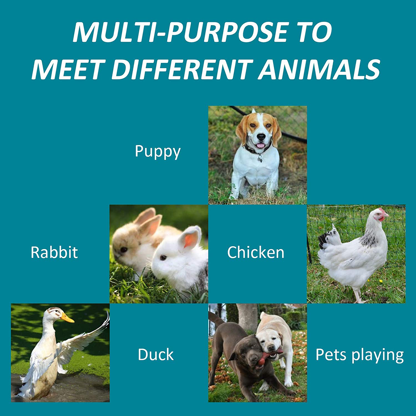 AKANORS Outdoor Chain Link Dog Kennel with Weatherproof Cover - Large Heavy Duty Pet House Run Exercise Playpen for Training - Chicken Coop Hen Cage Durable Galvanized Steel Frame Animals & Pet Supplies > Pet Supplies > Dog Supplies > Dog Kennels & Runs AKANORS