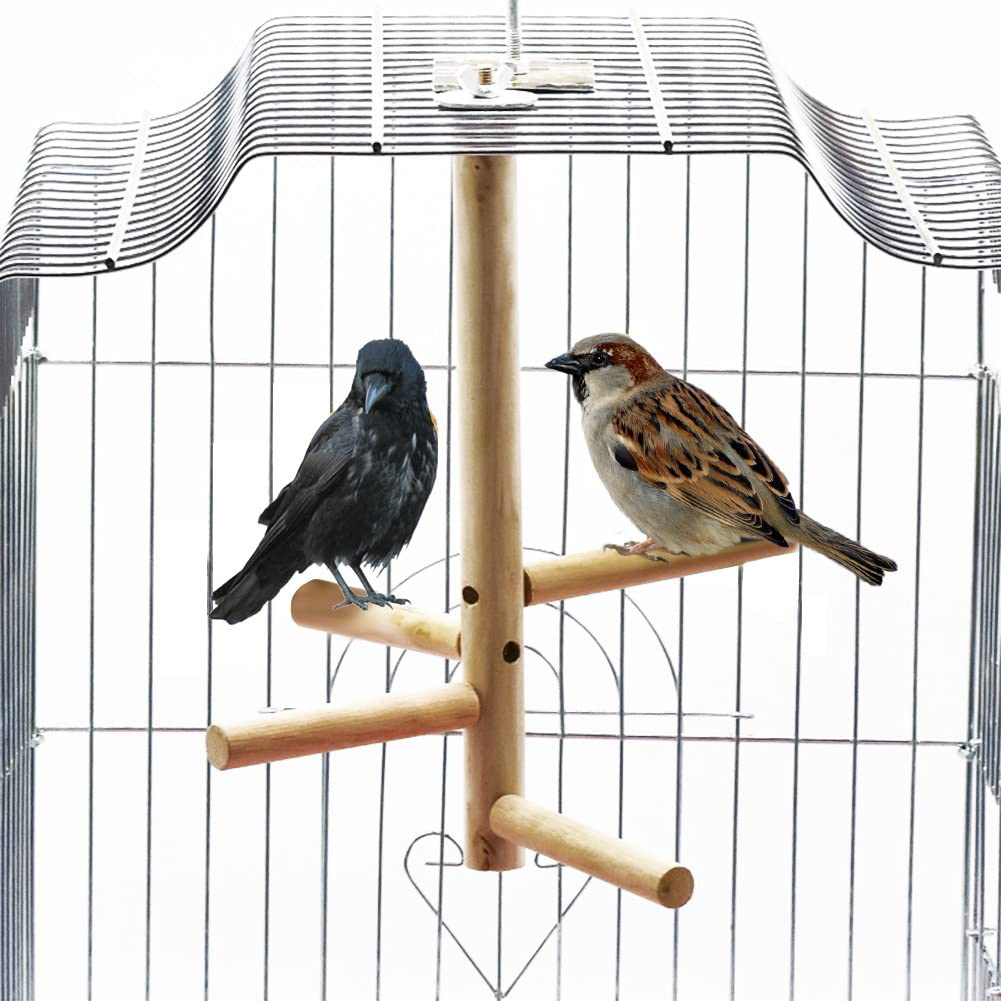 Bonaweite Bird Stand for Cage Parrot Perch Climbing Tree Toy Birdcage Decor Wood Laddered Platform Play Gym Stand Playstand Exercise Training Toys for Small Medium Conures Cockatiels Parrotlets Finch Animals & Pet Supplies > Pet Supplies > Bird Supplies > Bird Gyms & Playstands Bonaweite
