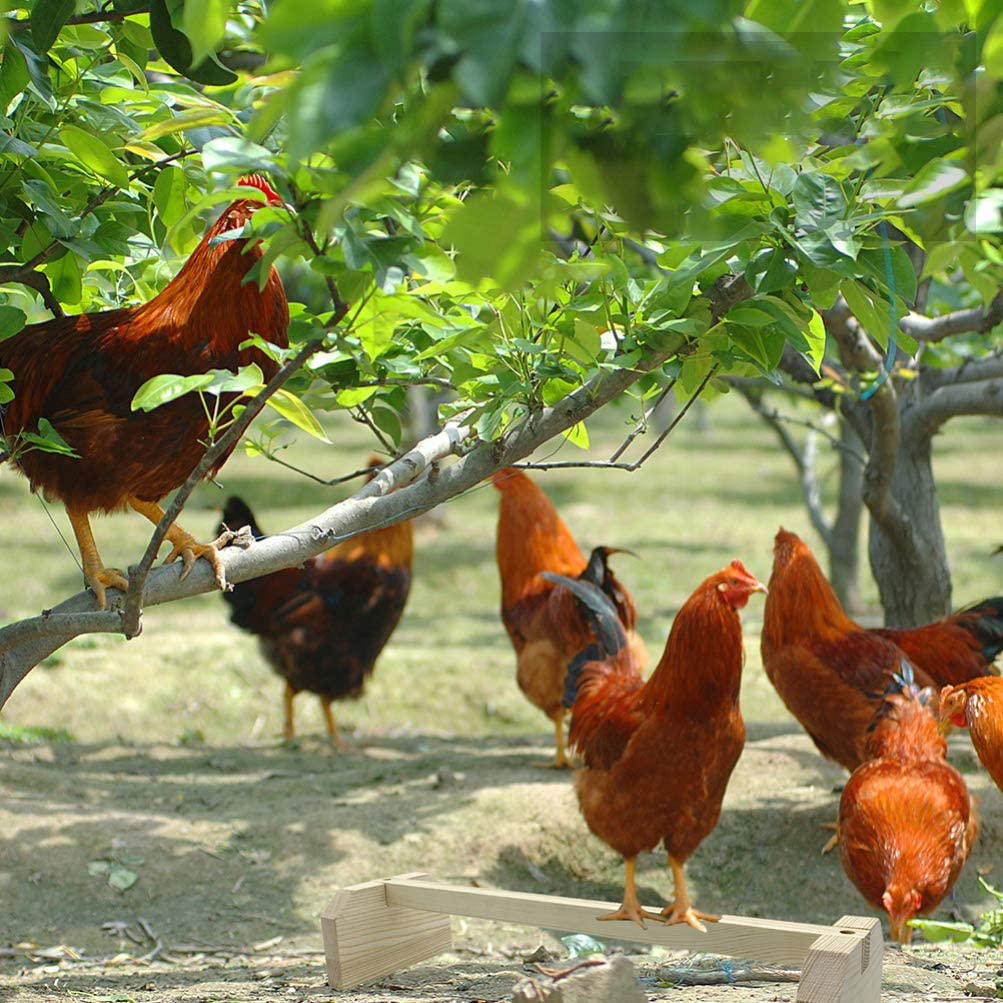 POPETPOP 2Pcs Chicken Perch Wooden Roosting Bar for Coop and Brooder Bird Perch for Large Bird Baby Chicks Pollos Gallinas Polluelos Parrots Animals & Pet Supplies > Pet Supplies > Bird Supplies > Bird Ladders & Perches POPETPOP