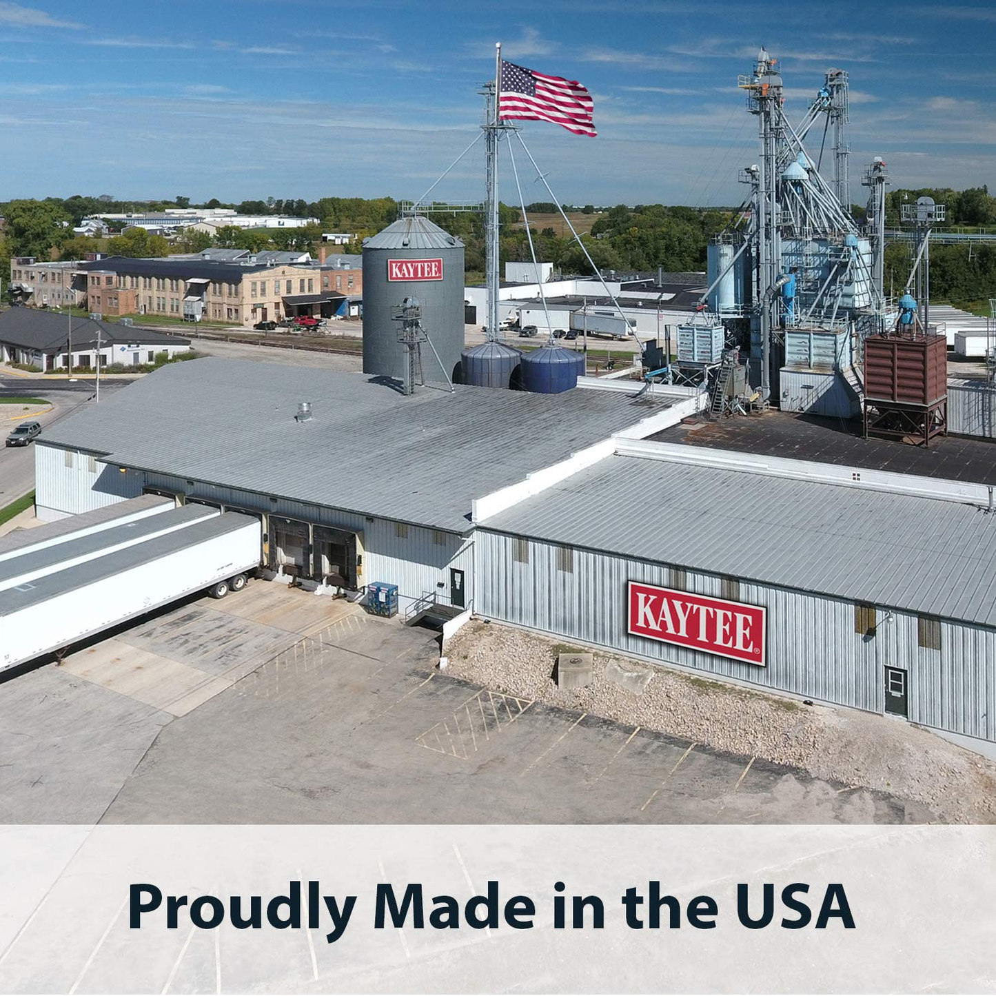 Kaytee Pro Health Hamster and Gerbil Food Animals & Pet Supplies > Pet Supplies > Small Animal Supplies > Small Animal Food Kaytee