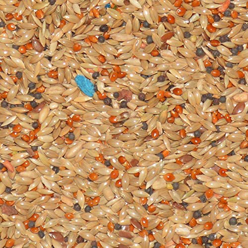 Volkman Avian Science Super Canary Bird Seed 4 Lb Animals & Pet Supplies > Pet Supplies > Bird Supplies > Bird Food Volkman