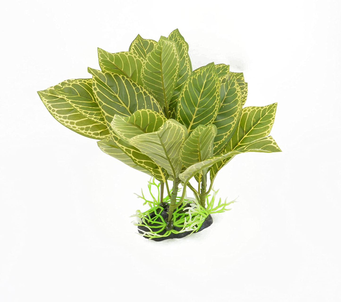 CNZ Aquarium Fish Tank Green Lifelike Underwater Plastic Plant Aquatic Water Grass Decor Animals & Pet Supplies > Pet Supplies > Fish Supplies > Aquarium Decor CNZ 10-inch (W) x 8-inch (H)