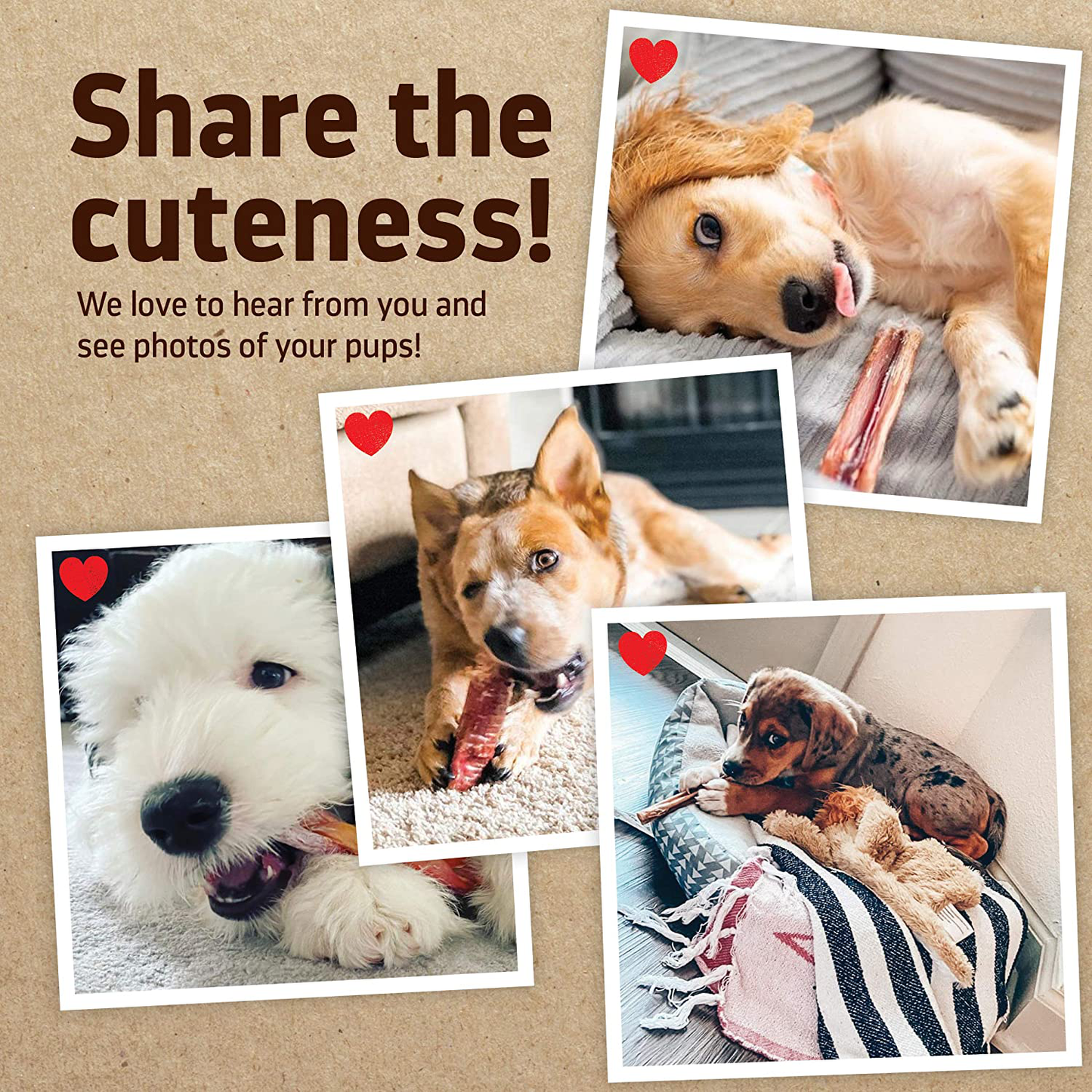 Natural Farm Odor Free Bully Stick Rings, 100% Beef Pizzle Chews - Made & Packaged at Our Own Food-Grade Facility - Fully Digestible High Protein, Low Fat Dental Treats Animals & Pet Supplies > Pet Supplies > Bird Supplies > Bird Treats Natural Farm