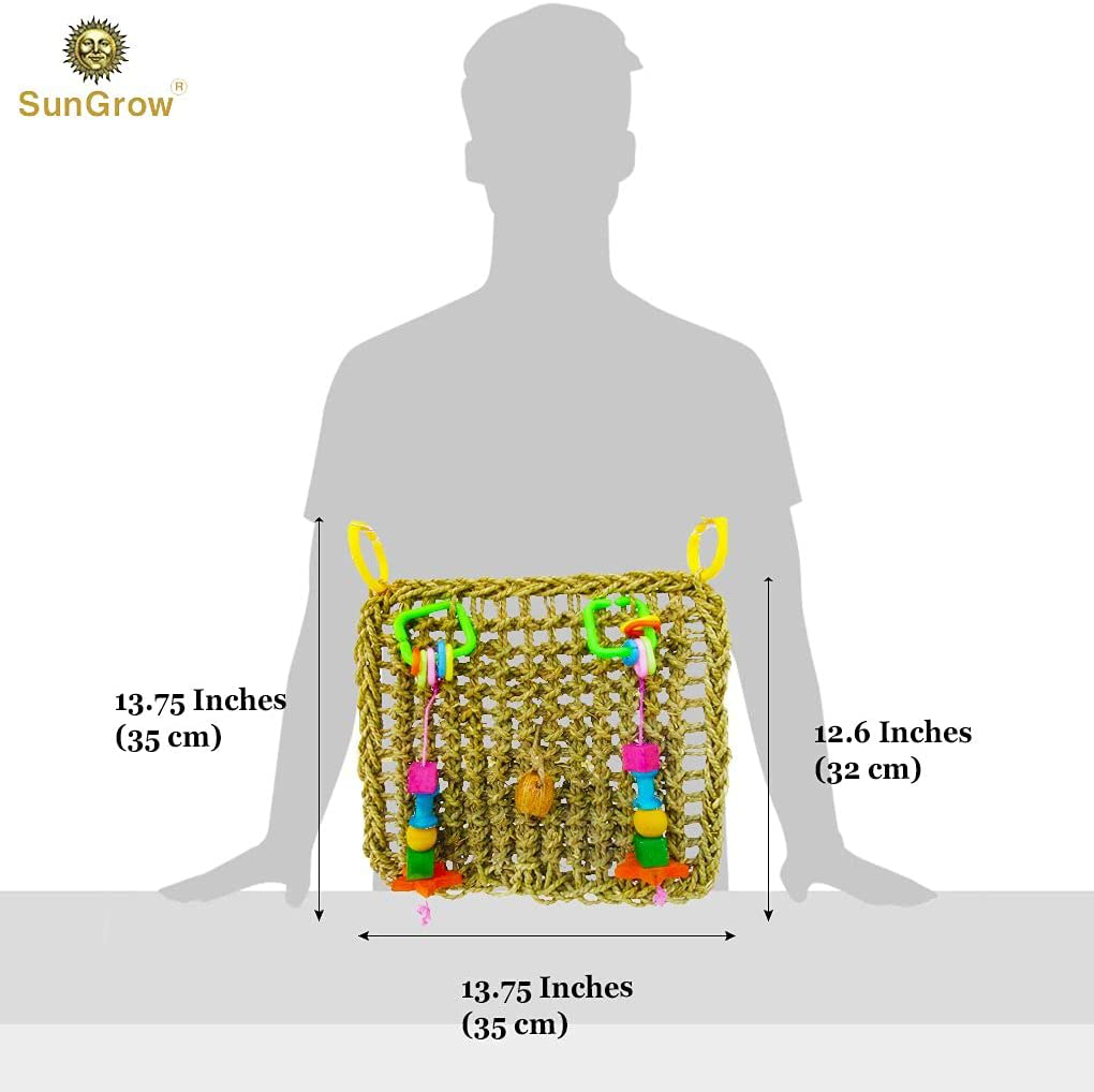 Sungrow Bird Foraging Wall Toy with Hanging Hook, 12.5 X 13.5 Inches, Seagrass Woven Mat with Colorful Wooden Blocks Animals & Pet Supplies > Pet Supplies > Bird Supplies > Bird Cage Accessories SunGrow