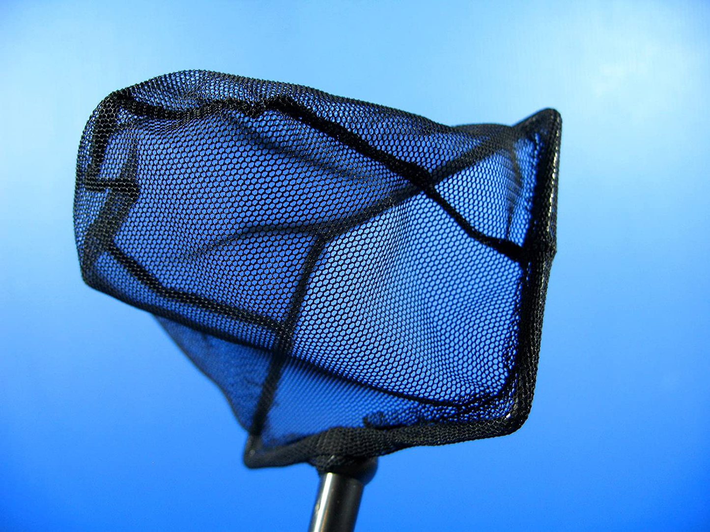 Aquarium Adjustable Fish Net 3.9"X2.75" Fine Mesh Stainless Steel Handle Shrimp Fish Tank Animals & Pet Supplies > Pet Supplies > Fish Supplies > Aquarium Fish Nets CORISRX BEST OF YOUR LIFESTYLE
