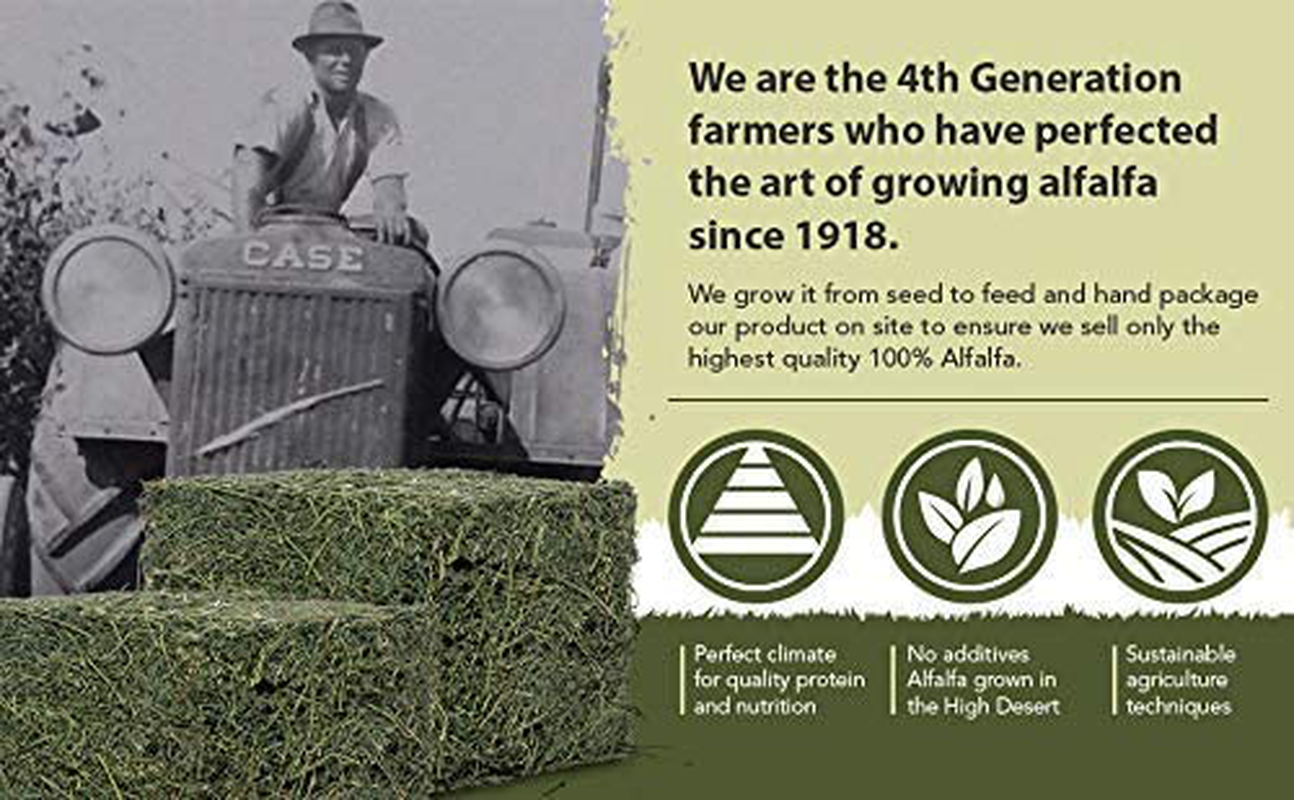 Alfalfa Hay, Dried Natural Alfalfa Hay for Rabbits, Guinea Pigs, Chinchillas, and Ferrets - Protein and Fiber Rich Food for Small Animals - Healthy Pet Food Animals & Pet Supplies > Pet Supplies > Small Animal Supplies > Small Animal Food High Desert Small Animal Feed