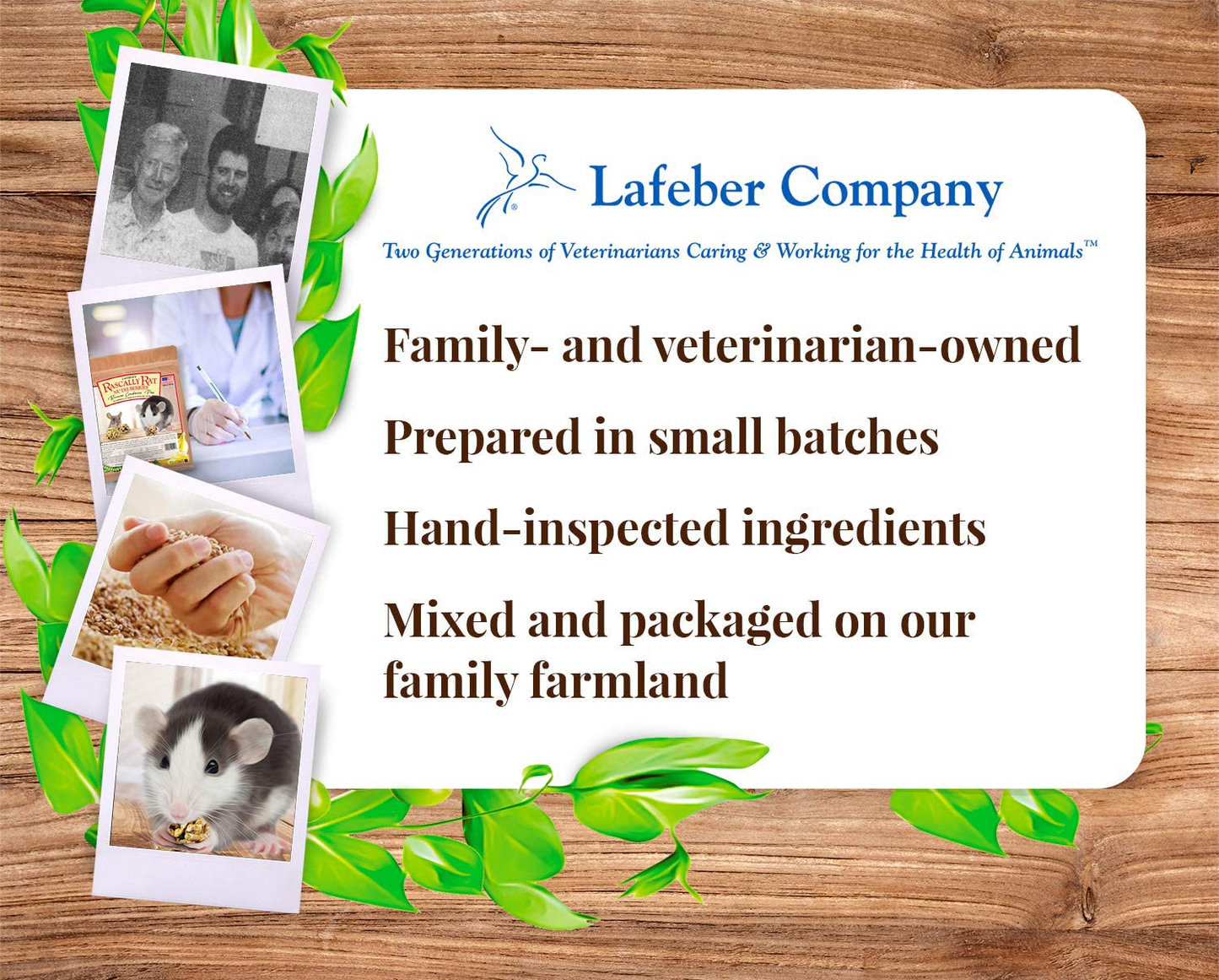 Rascally Rat Nutri-Berries 2.5 Lb Animals & Pet Supplies > Pet Supplies > Small Animal Supplies > Small Animal Food LAFEBER'S