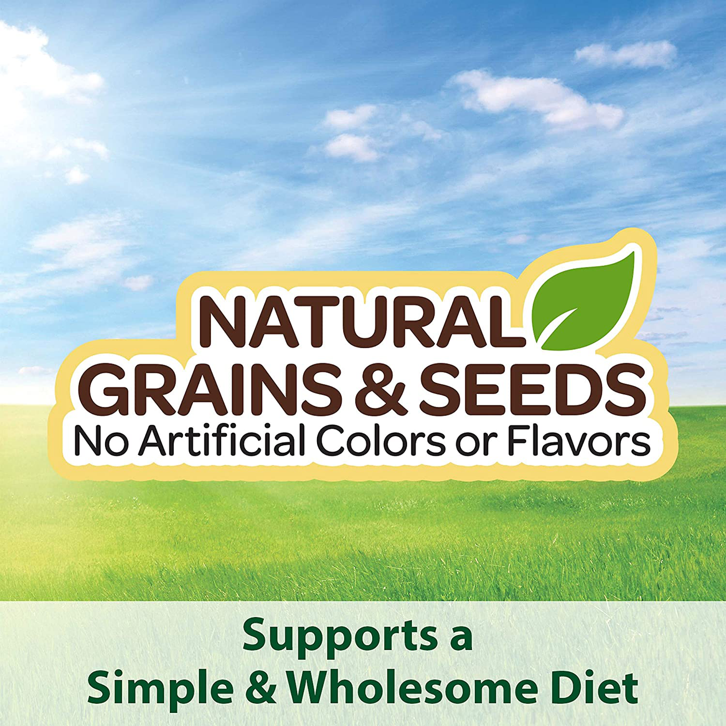 Kaytee Supreme Finch Food 25 Pound Bag Animals & Pet Supplies > Pet Supplies > Bird Supplies > Bird Food Kaytee