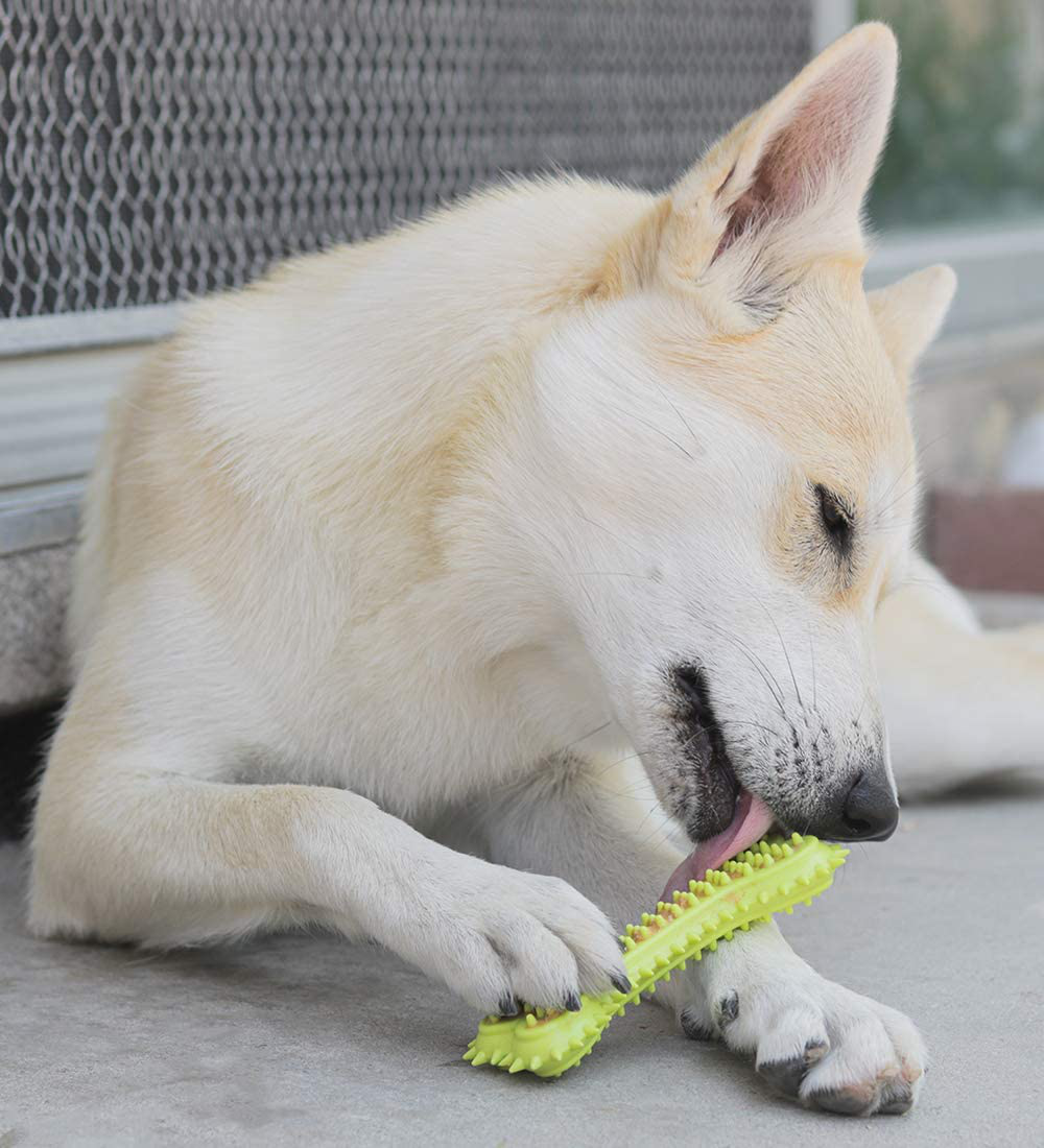 Pacific Pups Products 18 Piece Dog Toy Set with Dog Chew Toys, Rope Toys for Dogs, Plush Dog Toys and Dog Treat Dispenser Ball - Supports Non-Profit Dog Rescue Animals & Pet Supplies > Pet Supplies > Dog Supplies > Dog Toys Pacific Pups Products supporting pacificpuprescue.com