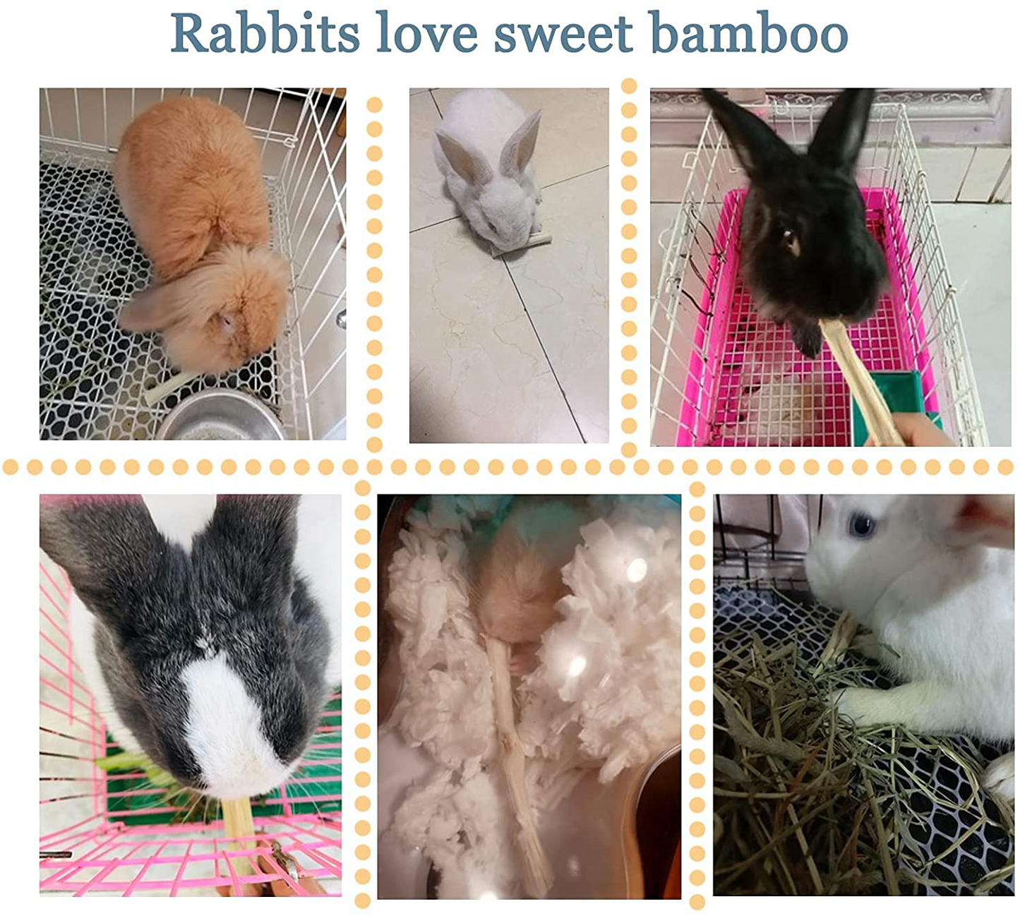 Hamiledyi Small Animals Triangle Toilet, Guinea Pig Litter Box Plastic Bolt Lock Trainer Corner Pee Tray Toilet for Hamster Gerbil Bunny Ferret Chinchilla Hedgehog Animals & Pet Supplies > Pet Supplies > Small Animal Supplies > Small Animal Bedding Hamiledyi