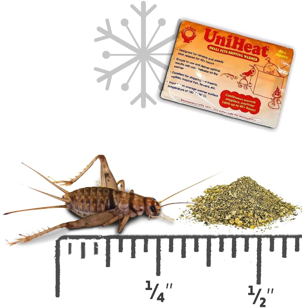 Josh'S Frogs 1/4" Banded Crickets Animals & Pet Supplies > Pet Supplies > Reptile & Amphibian Supplies > Reptile & Amphibian Food Josh's Frogs 120 Count GUTLOADED