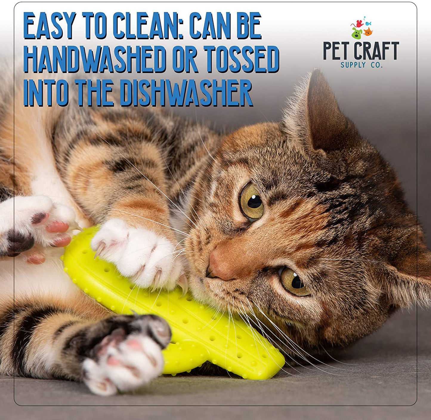 Pet Craft Supply Cactus Interactive Cat Toy Chew Toy Teeth Cleaning Bite Resistant 100% Natural Rubber with Bonus Catnip and Silvervine Bags for Kittens and Adult Cat Animals & Pet Supplies > Pet Supplies > Cat Supplies > Cat Toys Pet Craft Supply