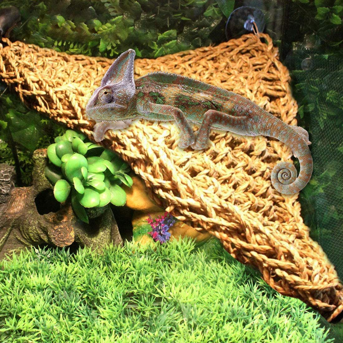 PINVNBY Bearded Dragon Tank Accessories,Reptile Plants Hanging Climbing,Lizards Habitat Natural Seagrass Hammock and Artificial Bendable Vines Branch for Chameleon Geckos Snake and Hermit Crabs Animals & Pet Supplies > Pet Supplies > Reptile & Amphibian Supplies > Reptile & Amphibian Habitats PINVNBY