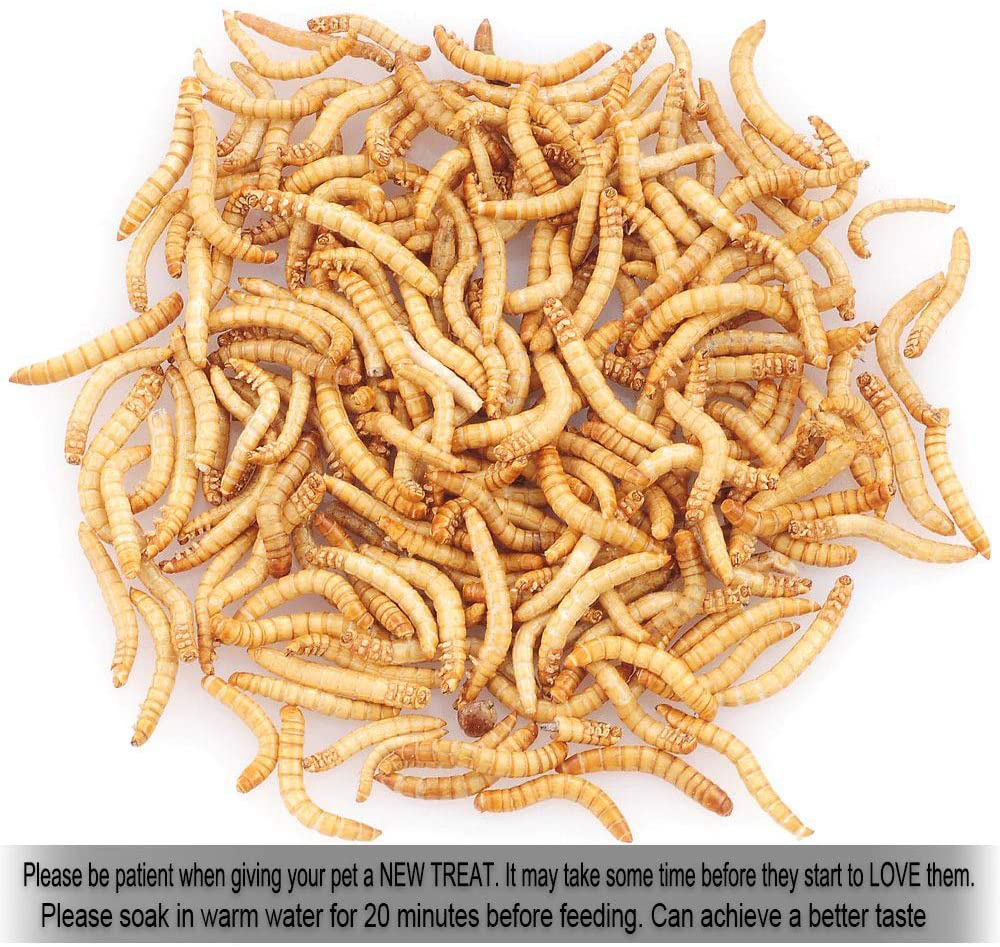 Reptile Food Freeze Dried Mealworms Pet Worms Food for Bearded Dragon, Lizard, Turtles, Chameleon, Monitor, Frog, Birds, Fish, Hamsters and Hedgehogs Animals & Pet Supplies > Pet Supplies > Reptile & Amphibian Supplies > Reptile & Amphibian Food Sequoia