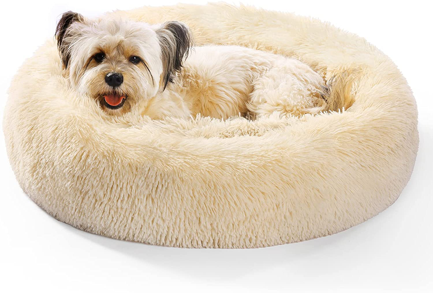 OYANTEN Cat Beds for Indoor Cats, Dog Beds for Small Medium Dogs, round Calming Donut Pet Beds for Cats, Soft Fluffy Warm and Cozy to Improved Sleep, Machine Washable(20In/24In/30In) Animals & Pet Supplies > Pet Supplies > Cat Supplies > Cat Beds OYANTEN Champagne 30*30 Inch (Pack of 1)