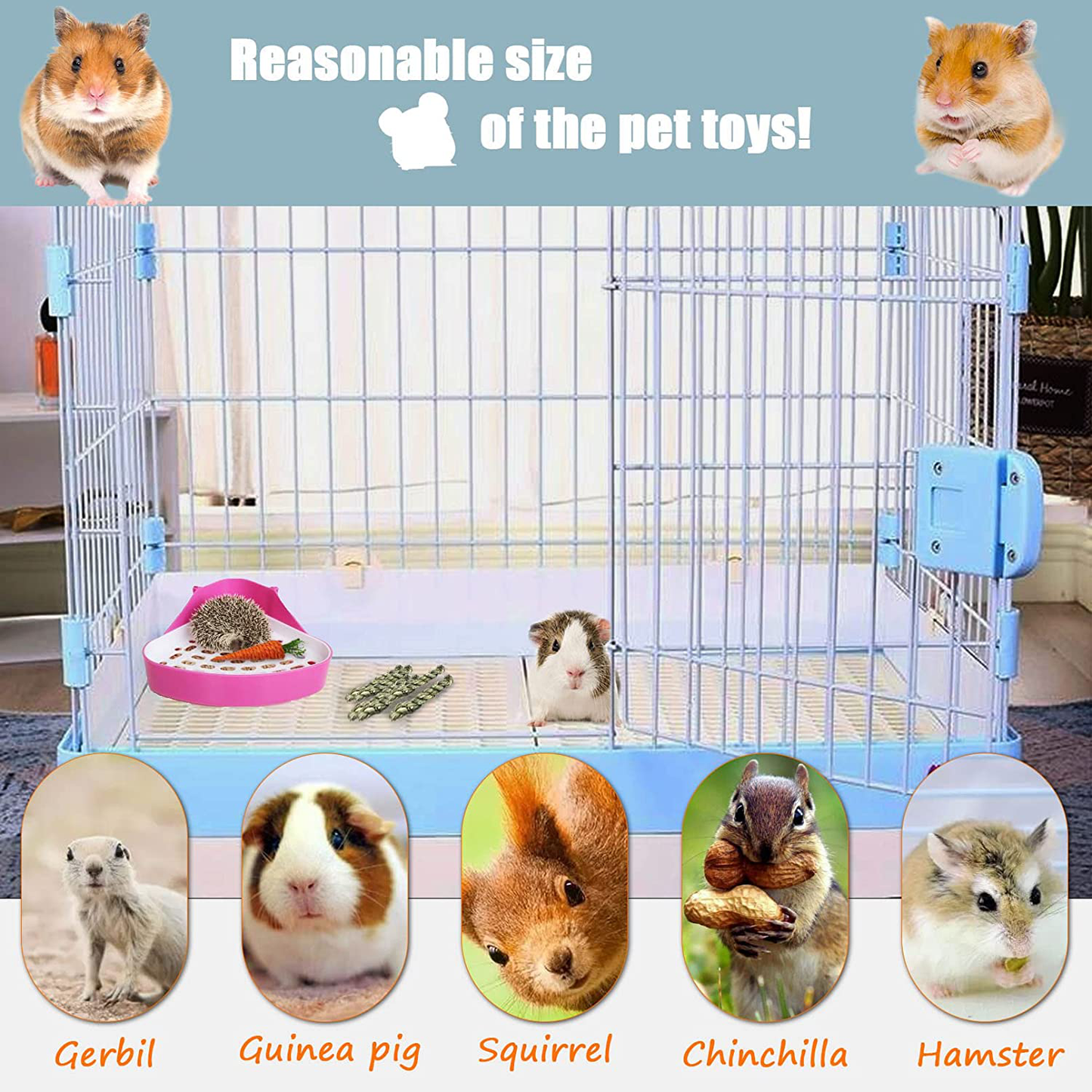 PINVNBY Guinea Pig Litter Box Triangle Potty Trainer Corner Litter Pan Bunny Litter Tray Hamster Plastic Corner Toilet Box for Chinchillas Ferret Small Animal Animals & Pet Supplies > Pet Supplies > Small Animal Supplies > Small Animal Bedding PINVNBY