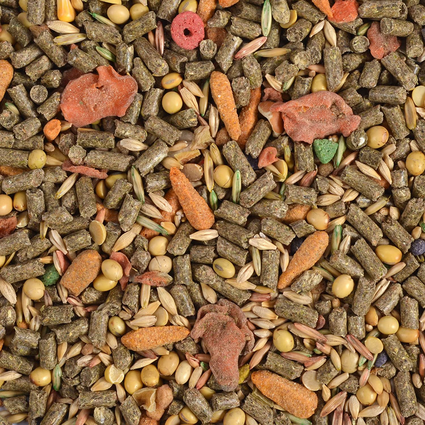 Ecotrition Essential Blend Food for Adult Rabbits, 5 Pounds, Resealable Bag Animals & Pet Supplies > Pet Supplies > Small Animal Supplies > Small Animal Food eCOTRITION