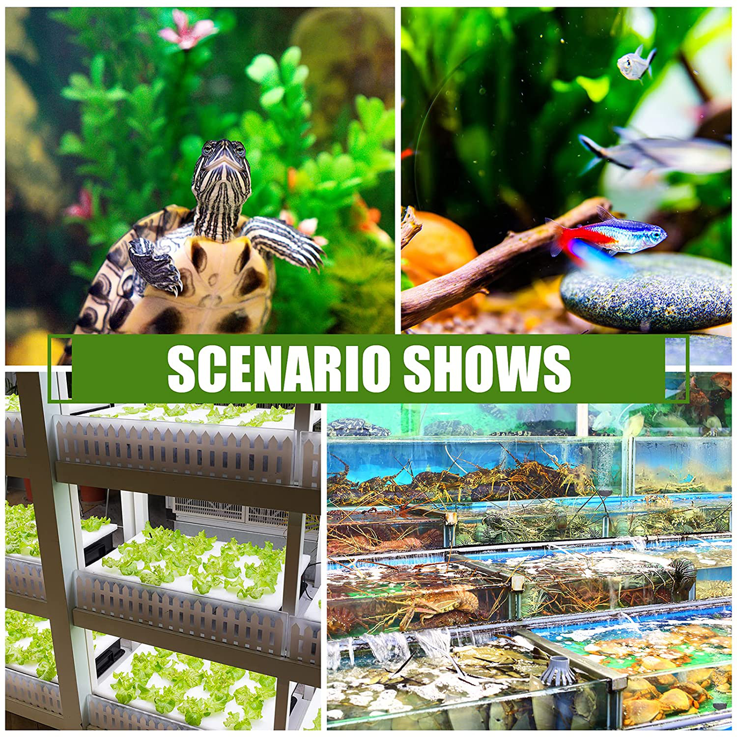 Minwen 2 Inch Air Stone Fish Tank Bubble Stone Kit with Strong Sucker and Control Valve Quiet High Dissolved Oxygen Diffuser Makes Tiny and Dense Bubbles for Aquarium Fish Tank (2 Pack) Animals & Pet Supplies > Pet Supplies > Fish Supplies > Aquarium Air Stones & Diffusers MinWen