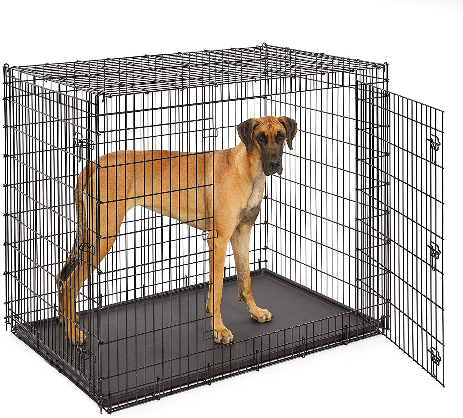 Midwest Homes for Pets XXL Giant Dog Crate 54 Inch Long
