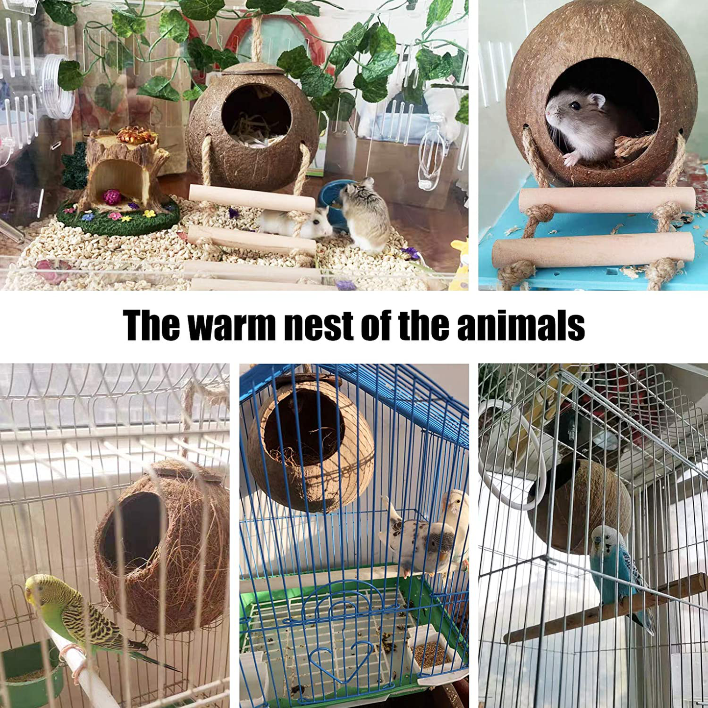 Seaokais Natural Coconut Shell Hideaway with Ladder Hamster Toys Bird Nest for Cages Toy House Ideal for Parakeets Geckos Hamster Animals & Pet Supplies > Pet Supplies > Bird Supplies > Bird Cages & Stands Seaokais