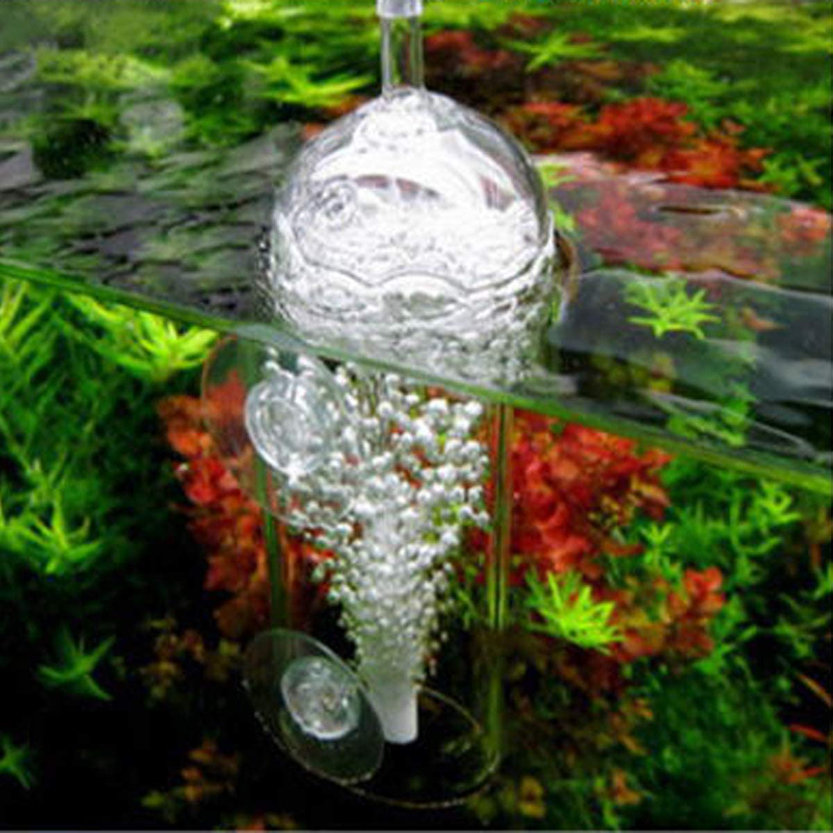 Ailindany Aquarium Air Oxygen Bubbler Glass Cup with Water Tube, Sucker Air Stone, High Dissolved Oxygen for Fish Tank Animals & Pet Supplies > Pet Supplies > Fish Supplies > Aquarium Air Stones & Diffusers Ailinda