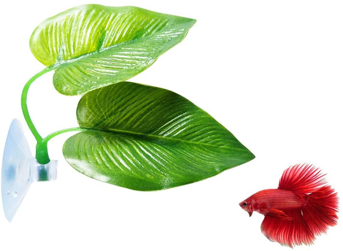 Cousduobe Betta Fish Leaf Pad - Improves Betta'S Health by Simulating the Natural Habitat( Double Leaf Design, One Big and One Small ) Animals & Pet Supplies > Pet Supplies > Fish Supplies > Aquarium Decor CousDUoBe 1 Pack Betta Fish Leaf